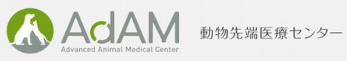 ������[��ÃZ���^�[ AdAM