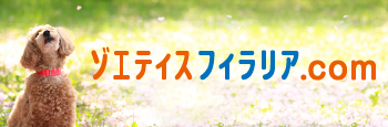�]�G�e�B�X�t�B�����A.com