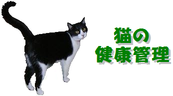 �L�̌��N�Ǘ�
