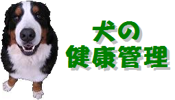 ���̌��N�Ǘ�